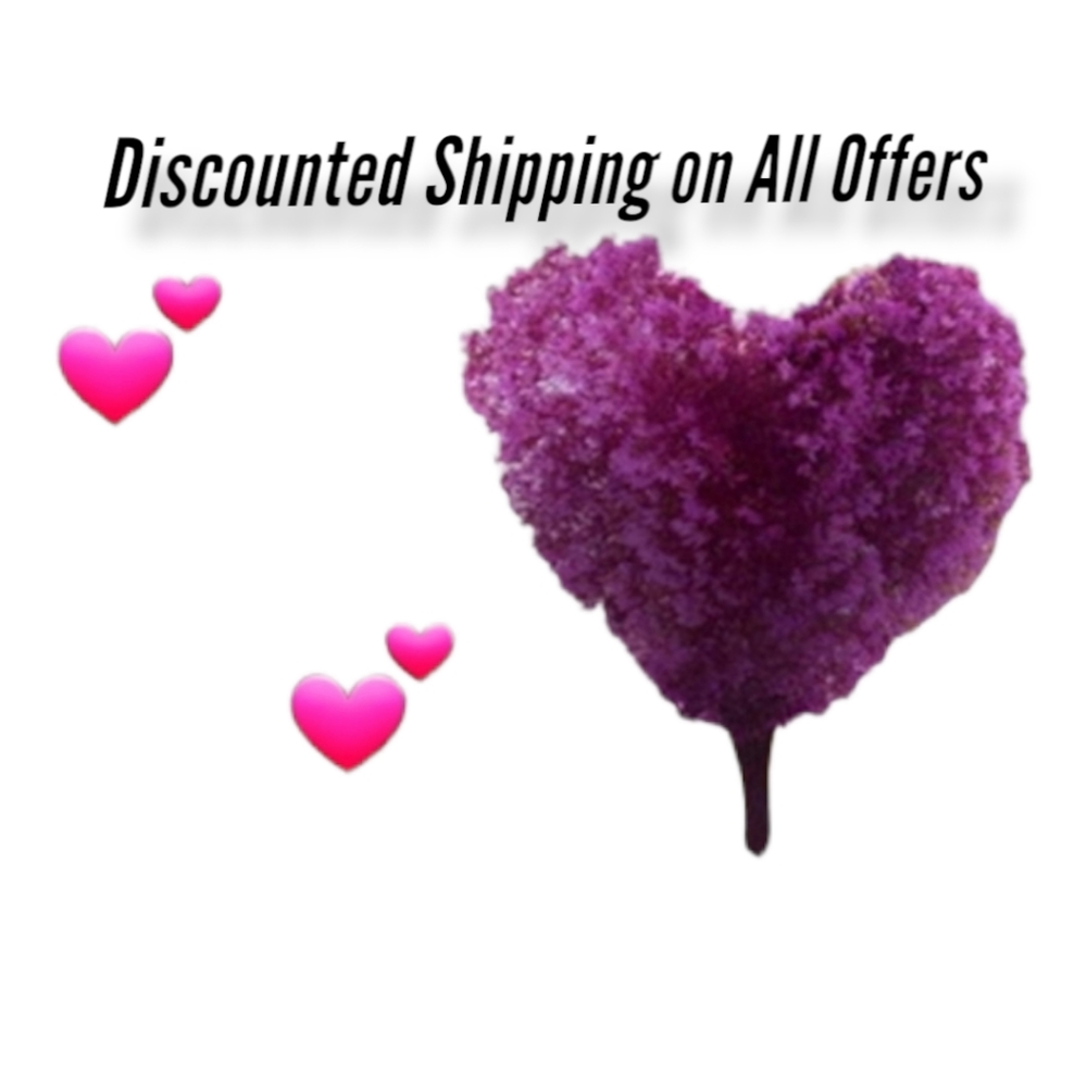 Discounted Shipping On All Offers